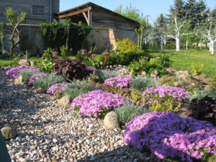 Mniszki Klaryski Kapucynki