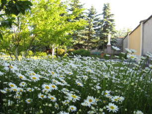 Mniszki Klaryski Kapucynki