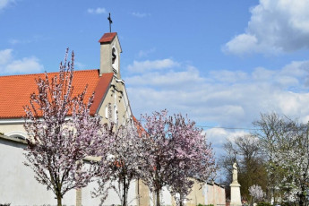 82. Klasztor klarysek kapucynek w Przasnyszu, 30.04.2022, fot. E. Łukasiak